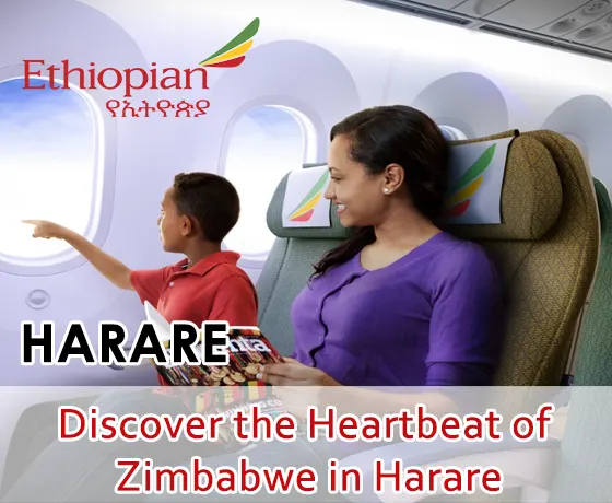 Cheap Flights